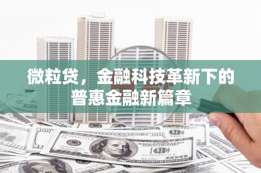 佳冬微粒贷，金融科技革新下的普惠金融新篇章