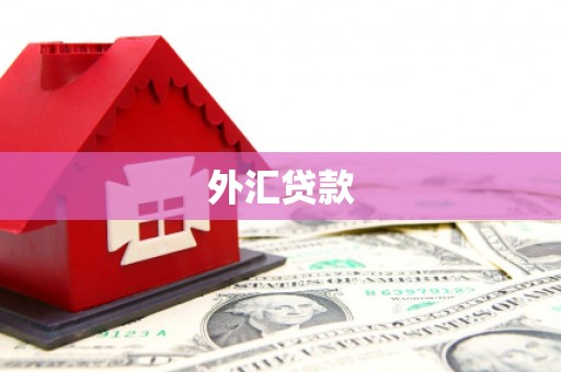 佳冬外汇贷款