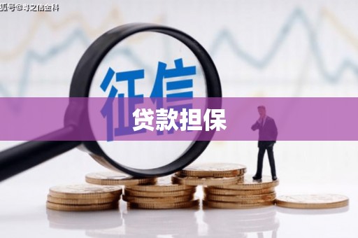 佳冬贷款担保
