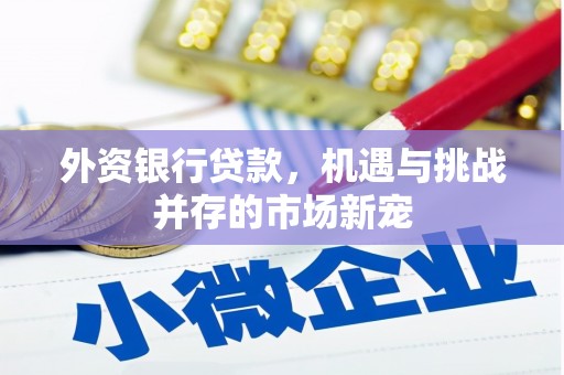 佳冬外资银行贷款，机遇与挑战并存的市场新宠