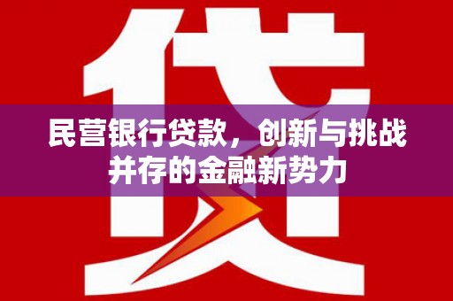 佳冬民营银行贷款，创新与挑战并存的金融新势力