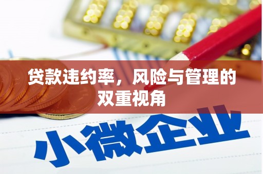 佳冬贷款违约率，风险与管理的双重视角