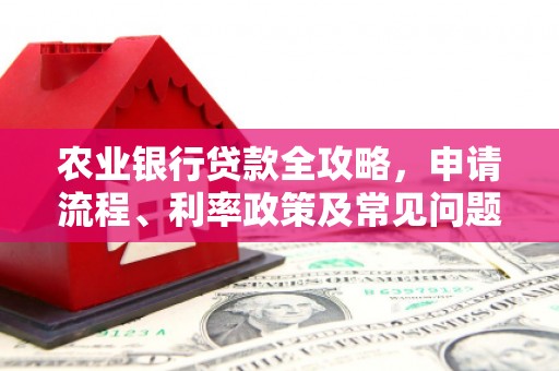 佳冬农业银行贷款全攻略，申请流程、利率政策及常见问题解析