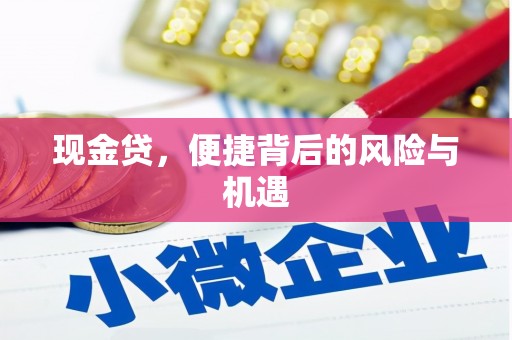 佳冬现金贷，便捷背后的风险与机遇