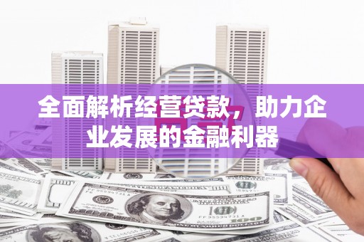 佳冬全面解析经营贷款，助力企业发展的金融利器
