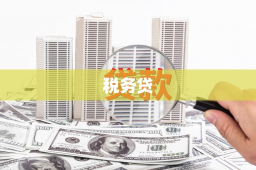 佳冬税务贷