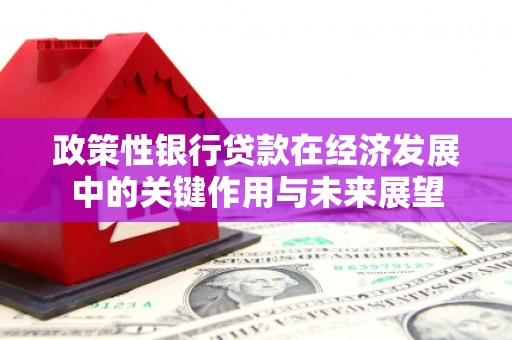 佳冬政策性银行贷款在经济发展中的关键作用与未来展望