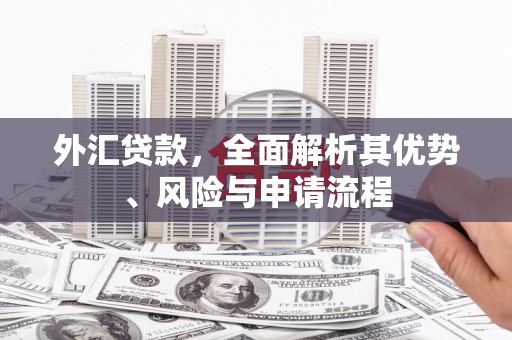 佳冬外汇贷款，全面解析其优势、风险与申请流程