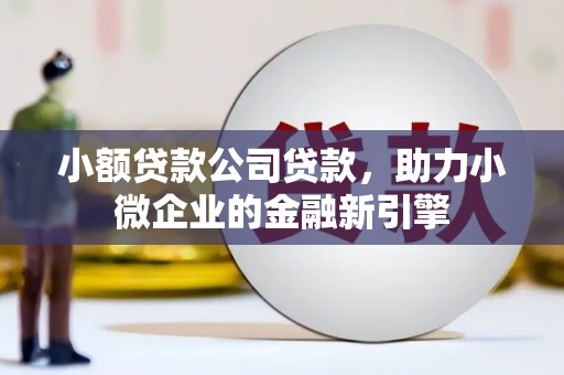 佳冬小额贷款公司贷款，助力小微企业的金融新引擎