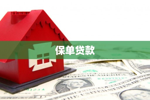 佳冬保单贷款