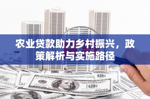 佳冬农业贷款助力乡村振兴，政策解析与实施路径
