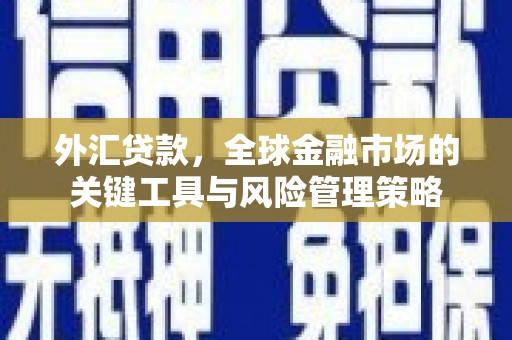 佳冬外汇贷款，全球金融市场的关键工具与风险管理策略