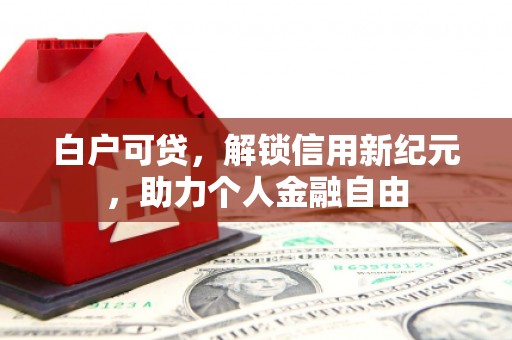 佳冬白户可贷，解锁信用新纪元，助力个人金融自由
