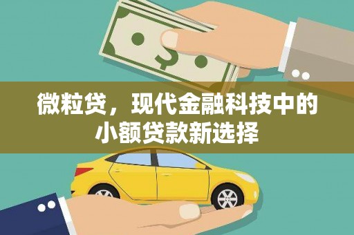 佳冬微粒贷，现代金融科技中的小额贷款新选择