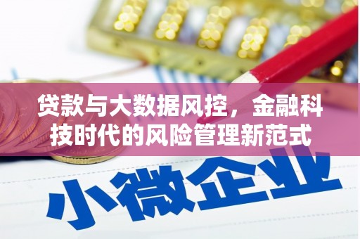 佳冬贷款与大数据风控，金融科技时代的风险管理新范式