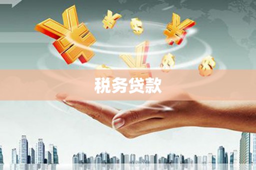佳冬税务贷款