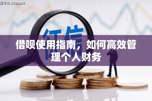佳冬借呗使用指南，如何高效管理个人财务
