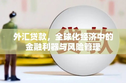 佳冬外汇贷款，全球化经济中的金融利器与风险管理