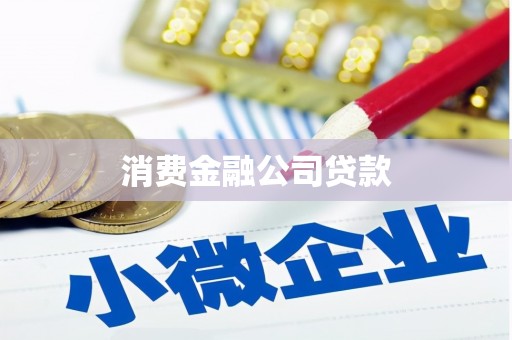 佳冬消费金融公司贷款