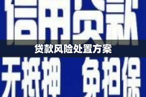 佳冬贷款风险处置方案