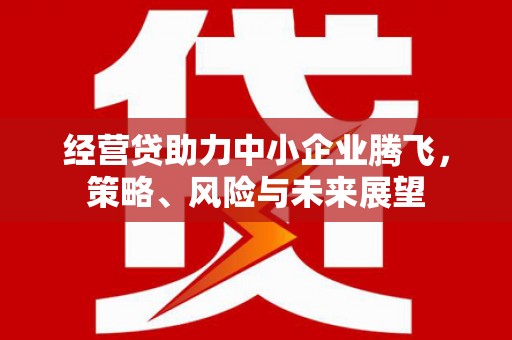 佳冬经营贷助力中小企业腾飞，策略、风险与未来展望