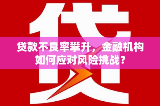 佳冬贷款不良率攀升，金融机构如何应对风险挑战？
