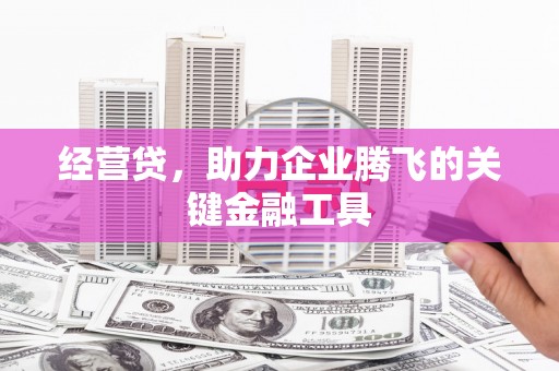 佳冬经营贷，助力企业腾飞的关键金融工具