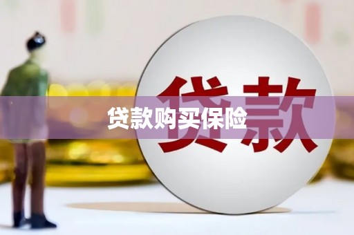 佳冬贷款购买保险
