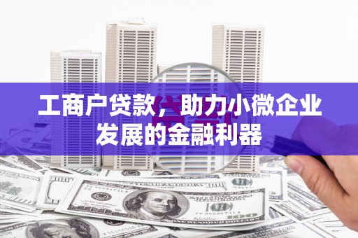 佳冬工商户贷款，助力小微企业发展的金融利器