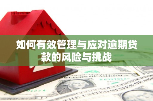 佳冬如何有效管理与应对逾期贷款的风险与挑战