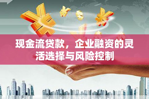 佳冬现金流贷款，企业融资的灵活选择与风险控制