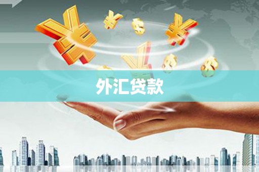 佳冬外汇贷款