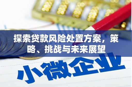 佳冬探索贷款风险处置方案，策略、挑战与未来展望