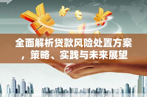 佳冬全面解析贷款风险处置方案，策略、实践与未来展望