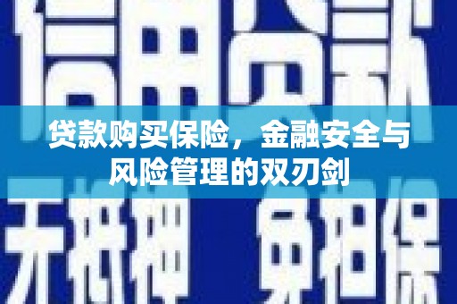 佳冬贷款购买保险，金融安全与风险管理的双刃剑