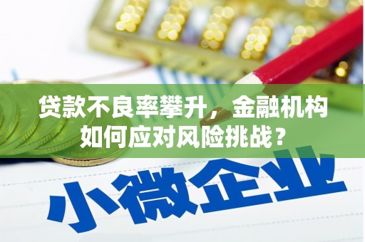佳冬贷款不良率攀升，金融机构如何应对风险挑战？