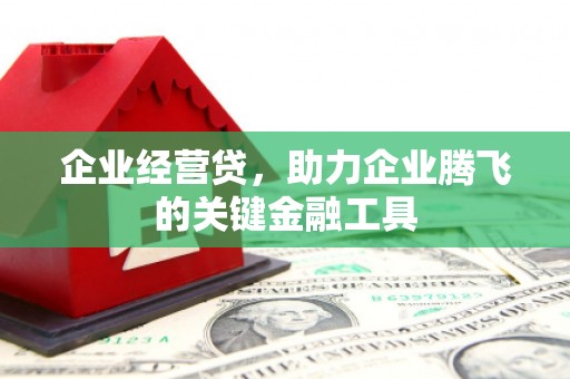 佳冬企业经营贷，助力企业腾飞的关键金融工具