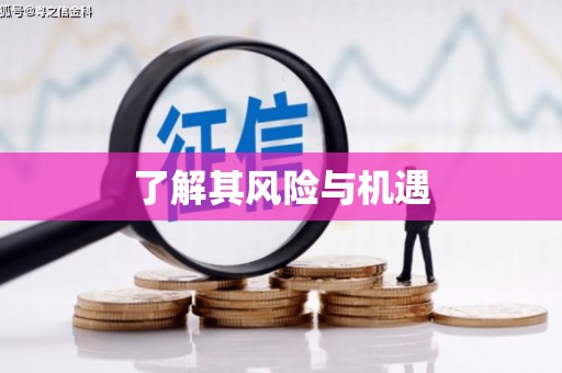 佳冬了解其风险与机遇