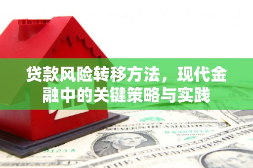 佳冬贷款风险转移方法，现代金融中的关键策略与实践
