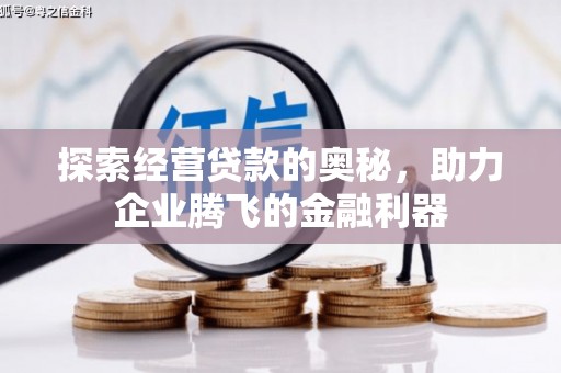 佳冬探索经营贷款的奥秘，助力企业腾飞的金融利器
