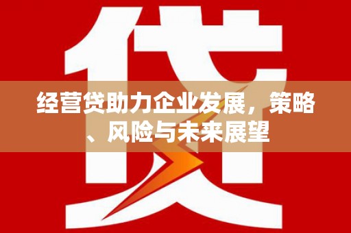 佳冬经营贷助力企业发展，策略、风险与未来展望