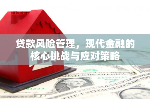 佳冬贷款风险管理，现代金融的核心挑战与应对策略
