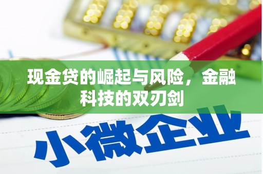佳冬现金贷的崛起与风险，金融科技的双刃剑