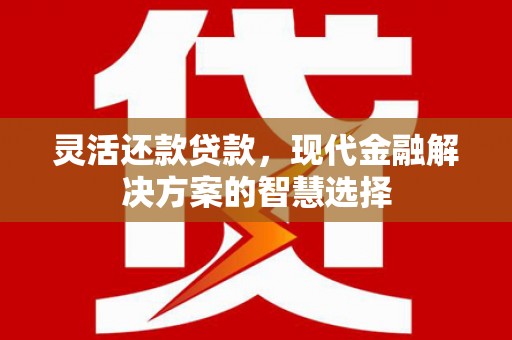 佳冬灵活还款贷款，现代金融解决方案的智慧选择