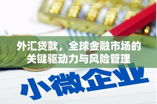 佳冬外汇贷款，全球金融市场的关键驱动力与风险管理