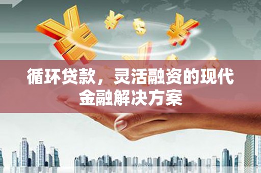 佳冬循环贷款，灵活融资的现代金融解决方案