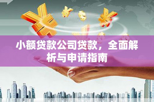佳冬小额贷款公司贷款，全面解析与申请指南