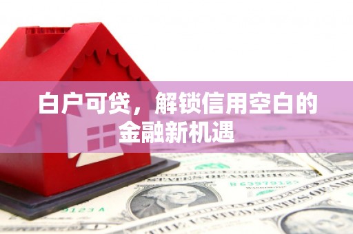 佳冬白户可贷，解锁信用空白的金融新机遇
