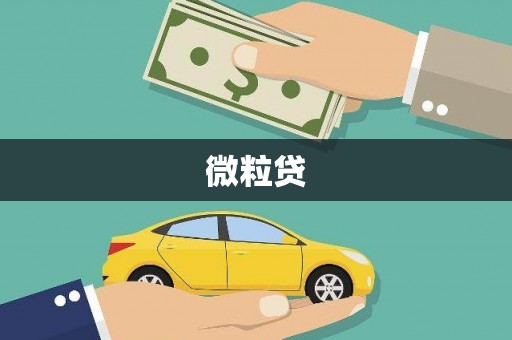 佳冬微粒贷