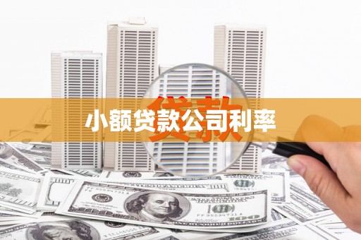 佳冬小额贷款公司利率